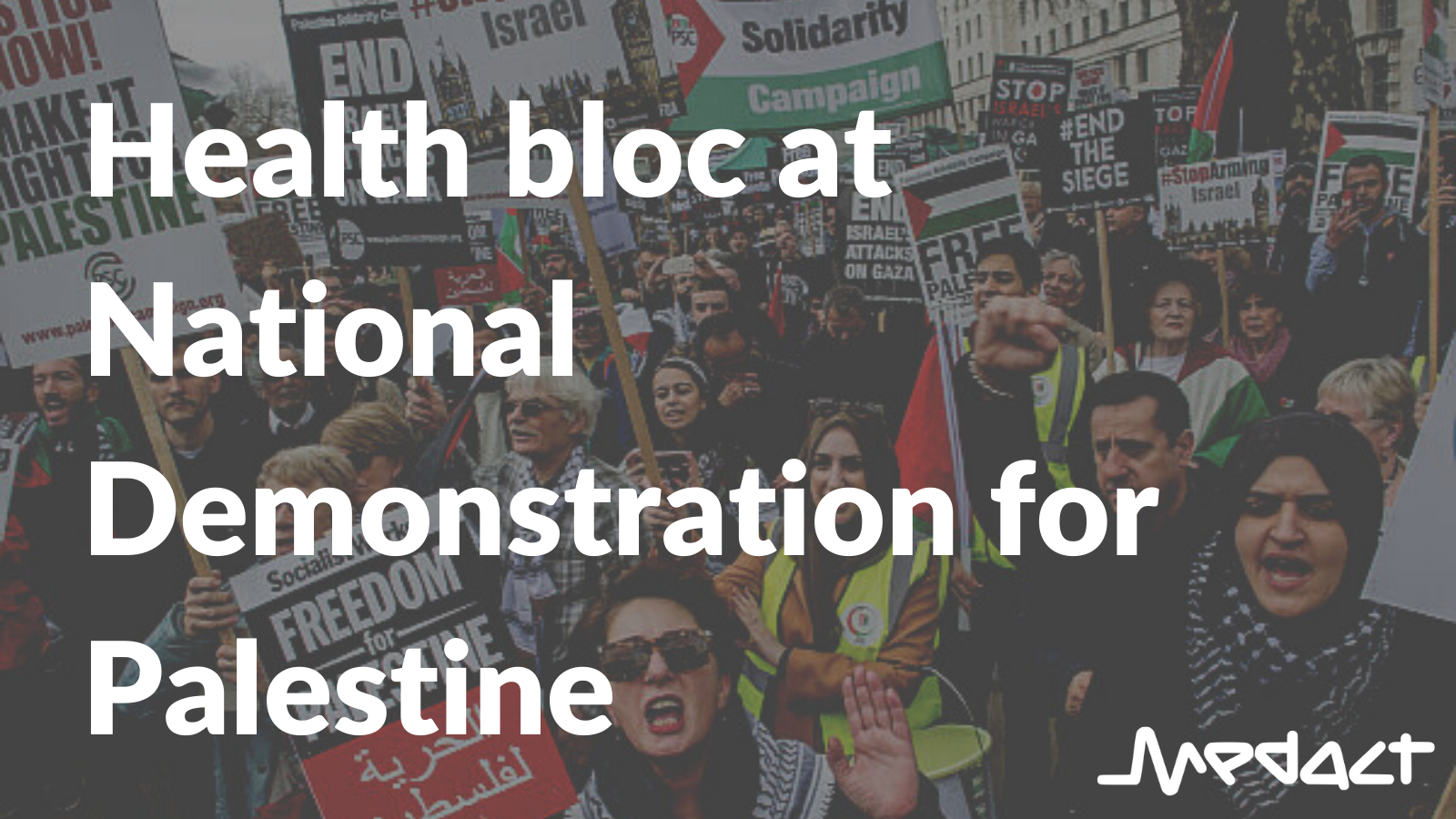 Health bloc at National Demonstration for Palestine